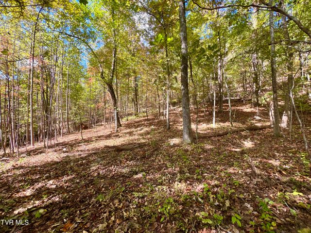 1393 Caney Valley Loop, Surgoinsville, TN 37873