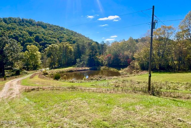 1393 Caney Valley Loop, Surgoinsville, TN 37873