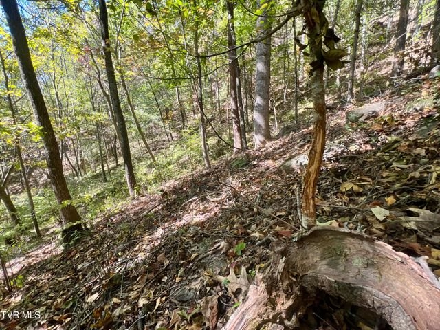 1393 Caney Valley Loop, Surgoinsville, TN 37873