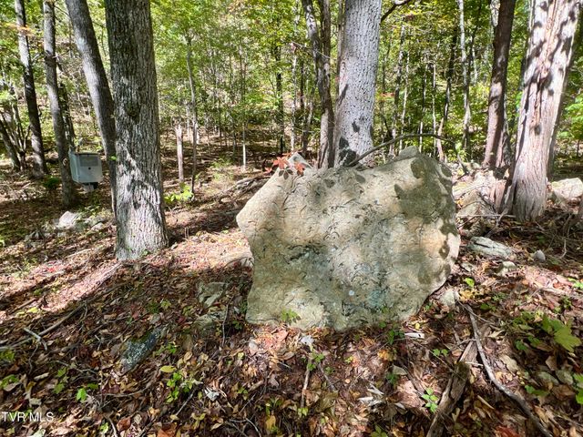 1393 Caney Valley Loop, Surgoinsville, TN 37873