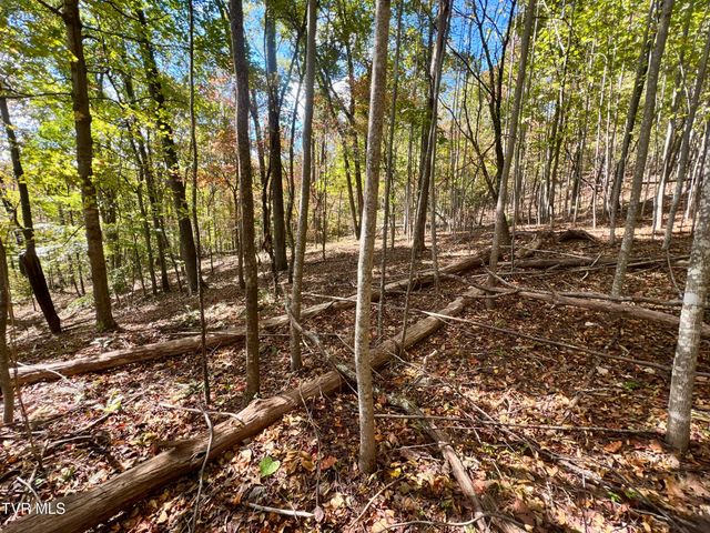 1393 Caney Valley Loop, Surgoinsville, TN 37873