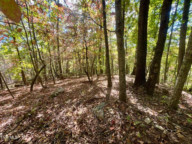 1393 Caney Valley Loop, Surgoinsville, TN 37873