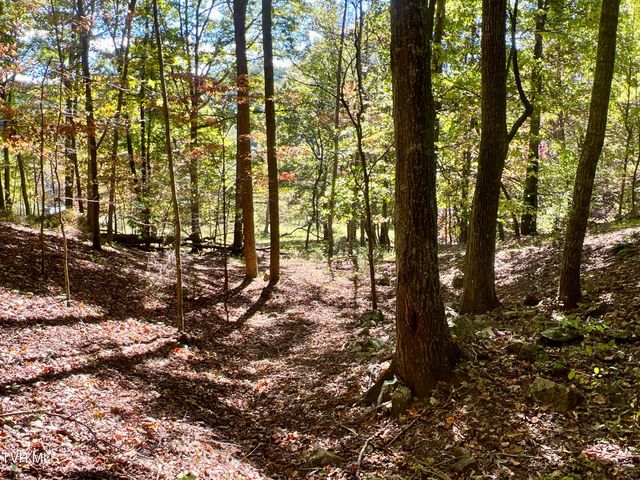 1393 Caney Valley Loop, Surgoinsville, TN 37873