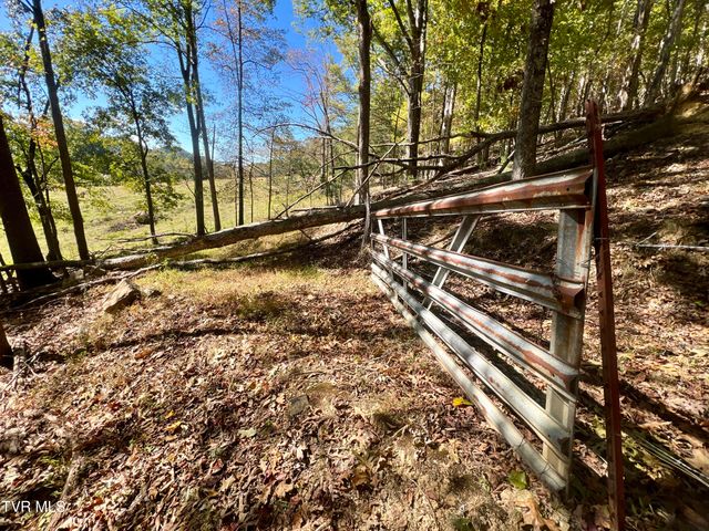 1393 Caney Valley Loop, Surgoinsville, TN 37873