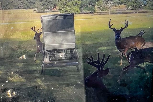 485 Fm 230, Trinity, TX 75862