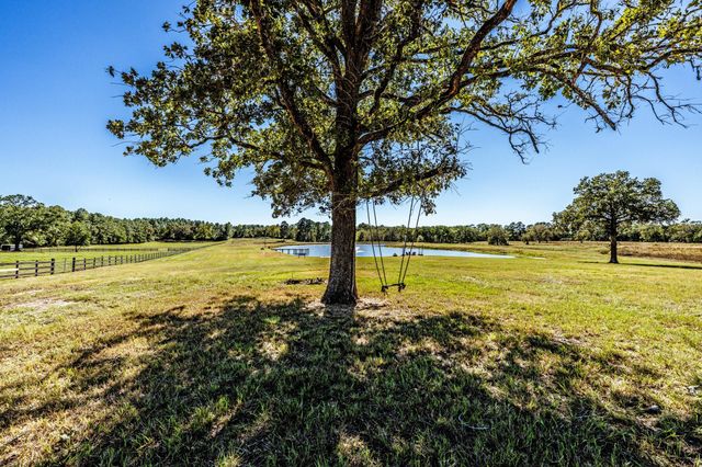 485 Fm 230, Trinity, TX 75862