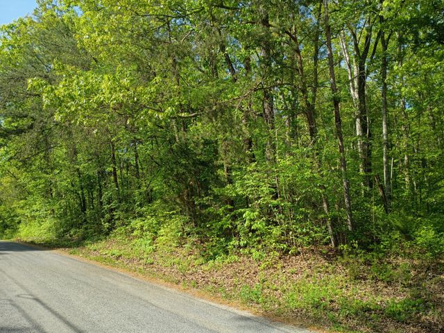 44 County Road 219, Decatur, TN 37322