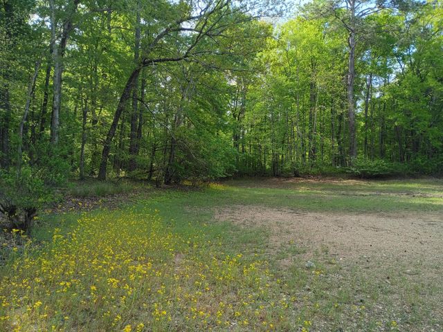 44 County Road 219, Decatur, TN 37322