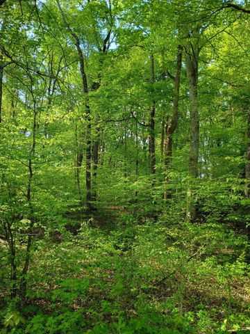 44 County Road 219, Decatur, TN 37322