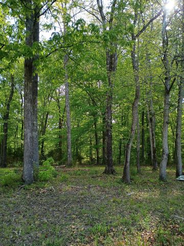 44 County Road 219, Decatur, TN 37322