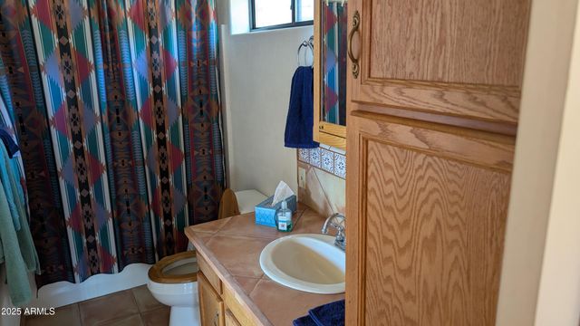 51554 N SIGNAL MOUNTAIN Road, Miami, AZ 85539