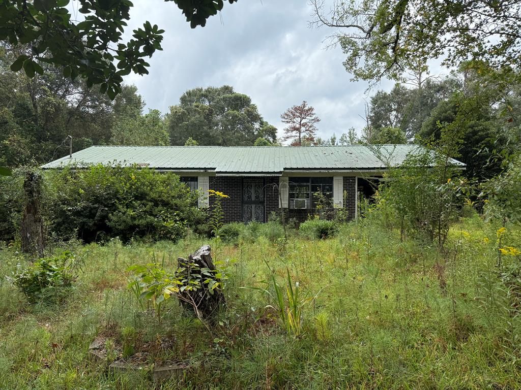 783 Co Shop Rd, Clayton, AL 36016