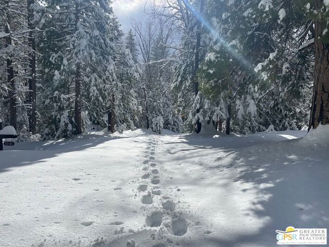 53150 Nf-4s02, Idyllwild, CA 92549