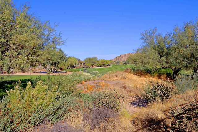 6894 E THIRSTY CACTUS Lane, Scottsdale, AZ 85266