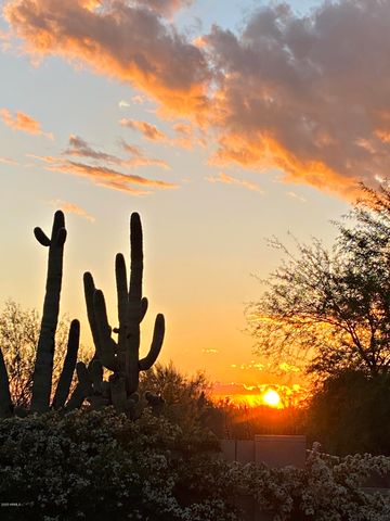 6894 E THIRSTY CACTUS Lane, Scottsdale, AZ 85266