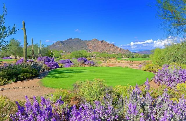 6894 E THIRSTY CACTUS Lane, Scottsdale, AZ 85266