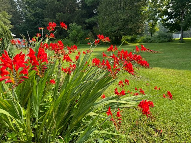 205 Loomis Hill Road, Waterbury, VT 05677