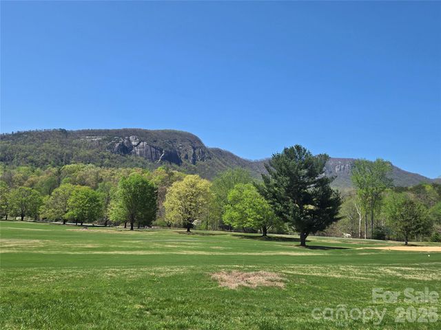 156 W Lake Drive S 1301, Lake Lure, NC 28746