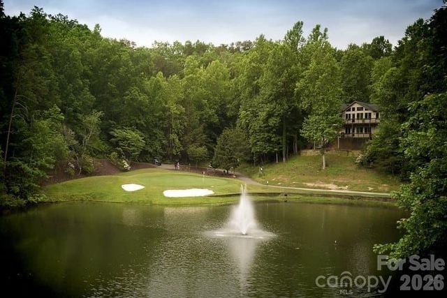 156 W Lake Drive S 1301, Lake Lure, NC 28746