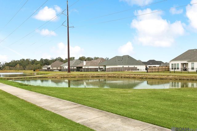 17338 Saw Grass Trail Ave, Prairieville, LA 70769
