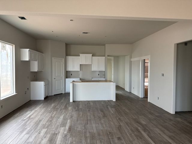 1225 Sabine River Lane, Springtown, TX 76082