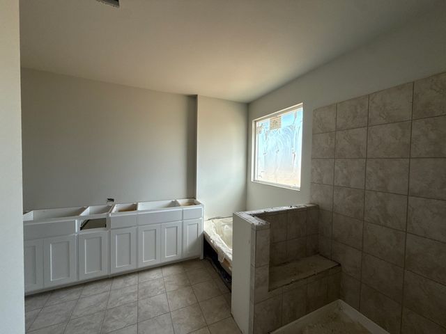 1225 Sabine River Lane, Springtown, TX 76082