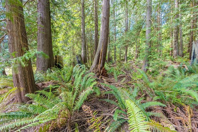 530 Montgomery Lane, Port Ludlow, WA 98365