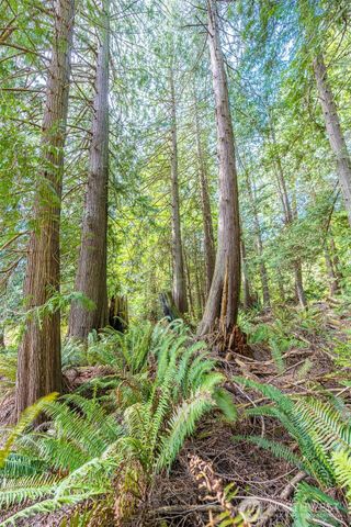 530 Montgomery Lane, Port Ludlow, WA 98365