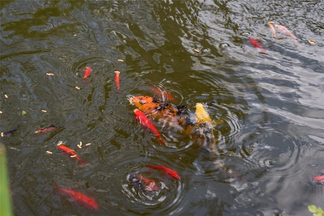 507 8th Street, Kemah, TX 77565