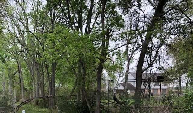 6125 Carson Road, Houston, TX 77048