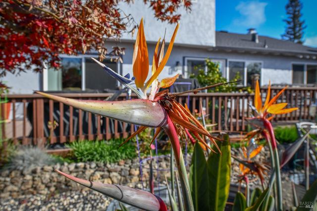 4139 Via La Paz, Napa, CA 94558