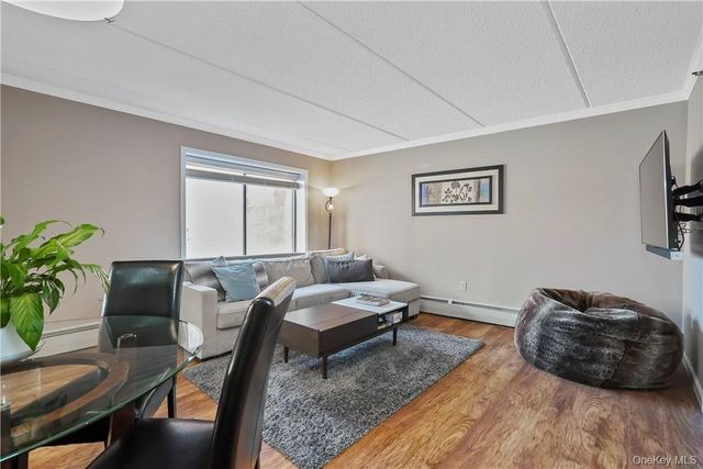 123 Mamaroneck Avenue 215, Mamaroneck, NY 10543