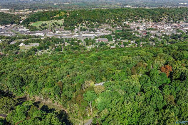 104 Wilks Drive, Fort Payne, AL 35967