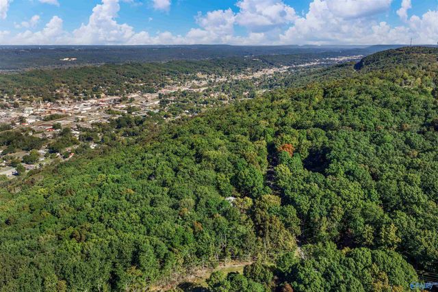 104 Wilks Drive, Fort Payne, AL 35967