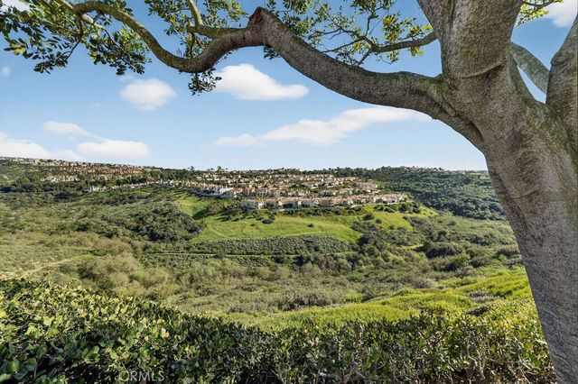 3 Chandon, Newport Coast, CA 92657