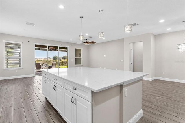 224 SILVER MAPLE ROAD, Groveland, FL 34736