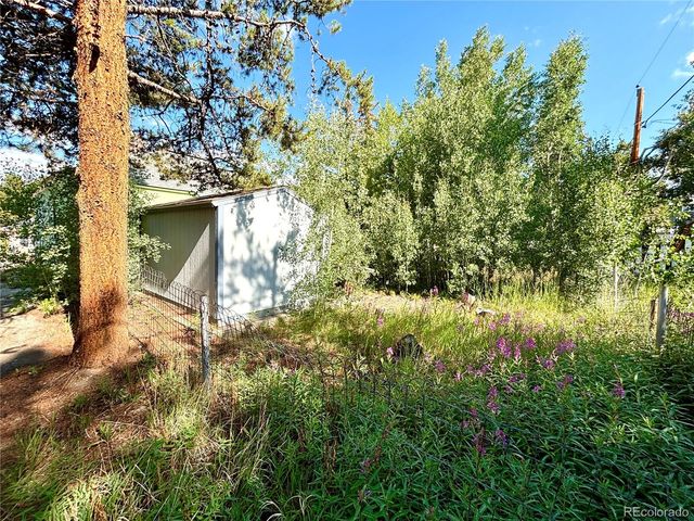 1705 Mount Lincoln Drive W, Leadville, CO 80461