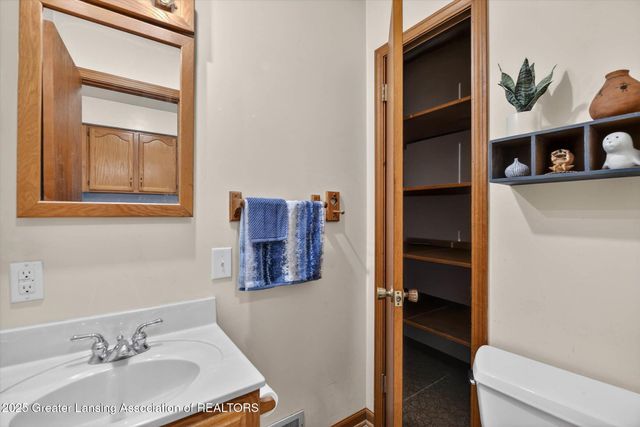 219 Lamson Street, Grand Ledge, MI 48837