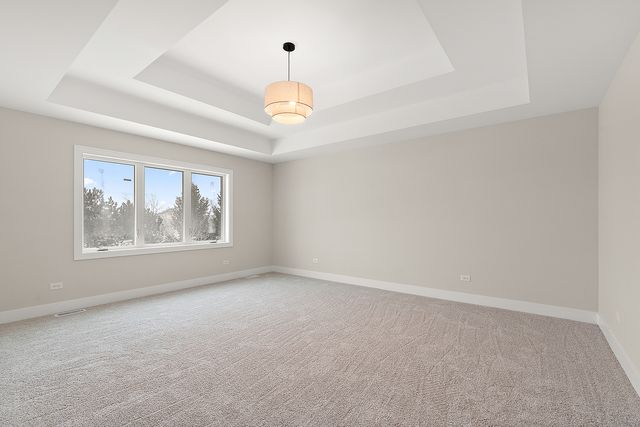 8017 Stanley Trail, Frankfort, IL 60423