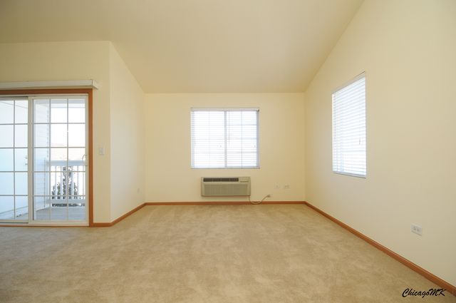 917 Silverstone Drive 917, Carpentersville, IL 60110