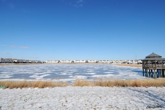 917 Silverstone Drive 917, Carpentersville, IL 60110