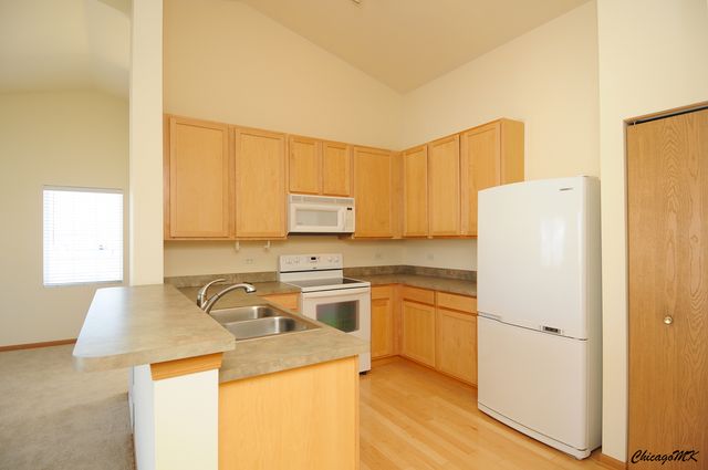 917 Silverstone Drive 917, Carpentersville, IL 60110