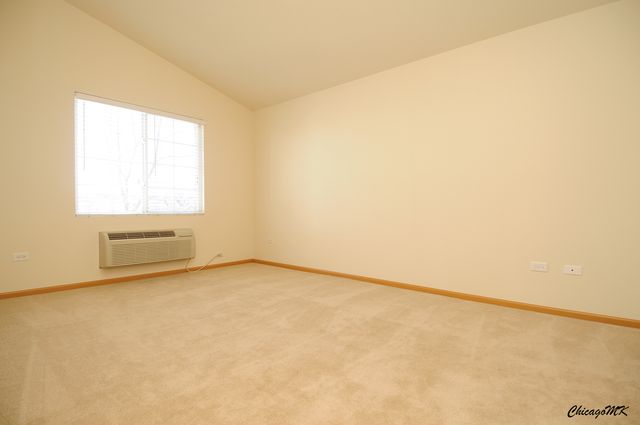 917 Silverstone Drive 917, Carpentersville, IL 60110