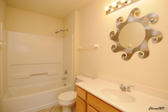 917 Silverstone Drive 917, Carpentersville, IL 60110