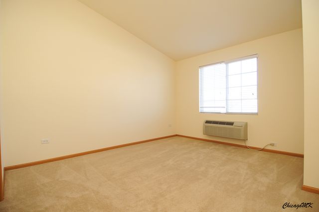 917 Silverstone Drive 917, Carpentersville, IL 60110