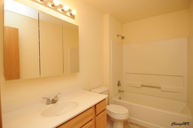 917 Silverstone Drive 917, Carpentersville, IL 60110