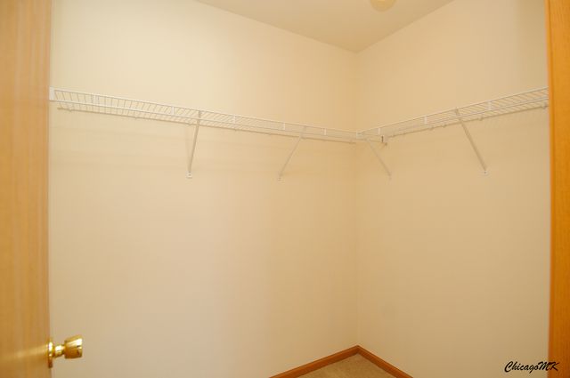 917 Silverstone Drive 917, Carpentersville, IL 60110