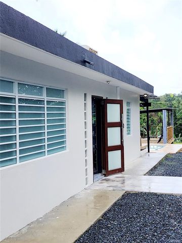 16 H-25, Rio Grande, PR 00745