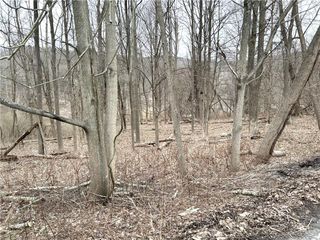 Stoneleigh Avenue, Carmel, NY 10512