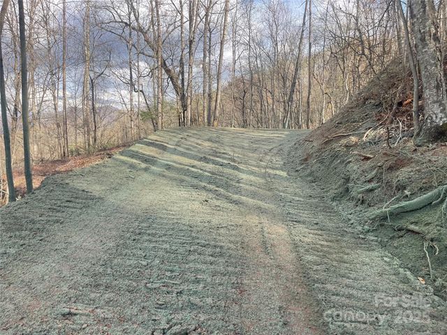 4 Copperhead Cove, Sylva, NC 28779